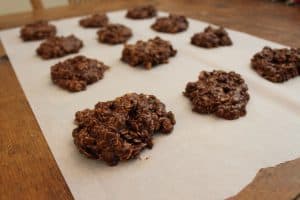 Healthy, No Bake, Dairy Free Lactation Cookies ready to eat!