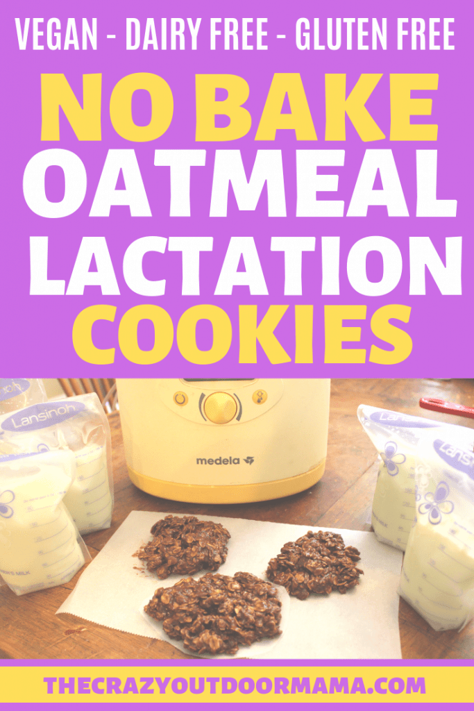 These easy, healthy no bake lactation cookies are just the thing you need to boost your milk supply! They are so easy to make, and are super moist! Best of all, they are dairy, egg and processed sugar free so you can increase your lactation the healthy way! #lactation #breastfeeding #breastmilk #newmom #thecrazyoutdoormama