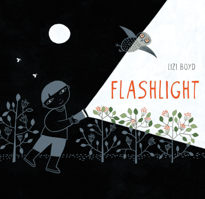 Flashlight by Lizi Boyd book cover - wordless picture book for toddlers afraid of the dark