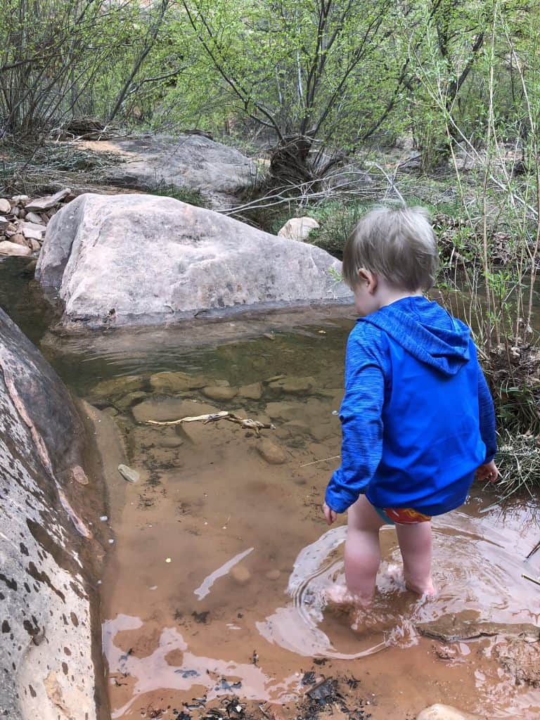 Have fun when hiking with toddlers!