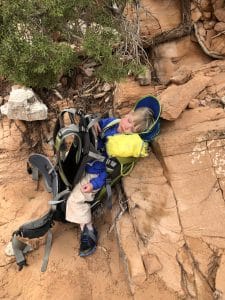 bring a carrier for your toddler when hiking