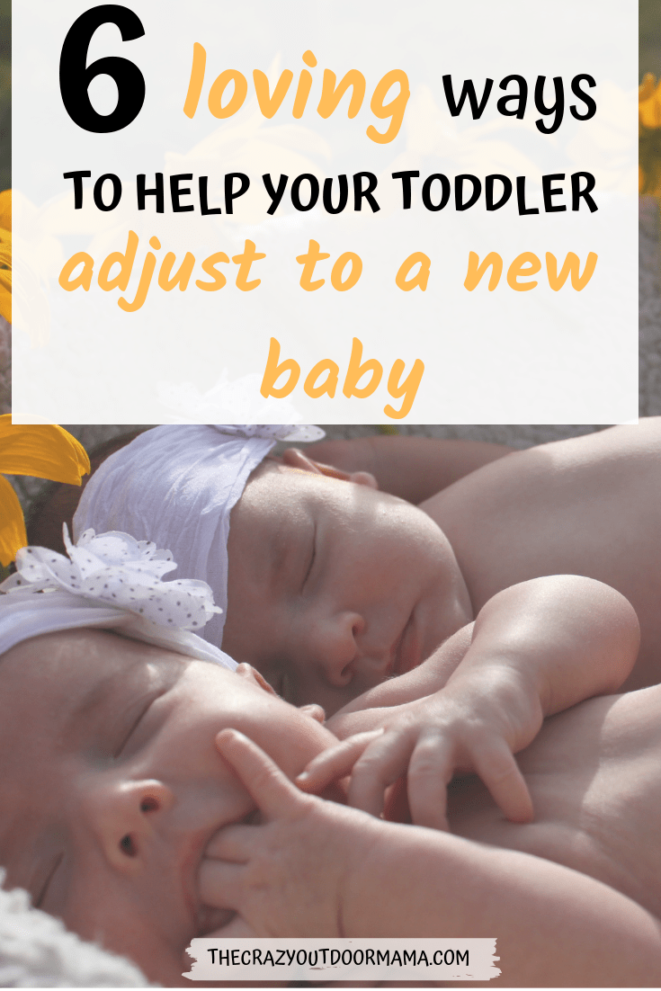 6 Fun Ways to Help Your Toddler Adjust to the New Baby! The Crazy