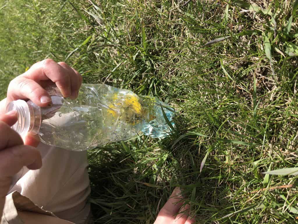 dandelion sensory bottle crafts with kids