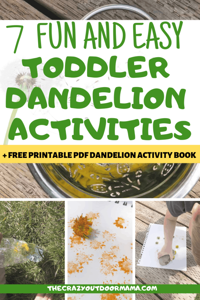 9 Best Dandelion Activities For Preschoolers And A FREE Printable
