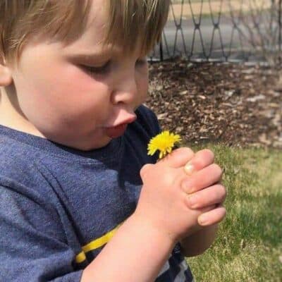 cropped-toddlerplayingwithdandelion.jpg