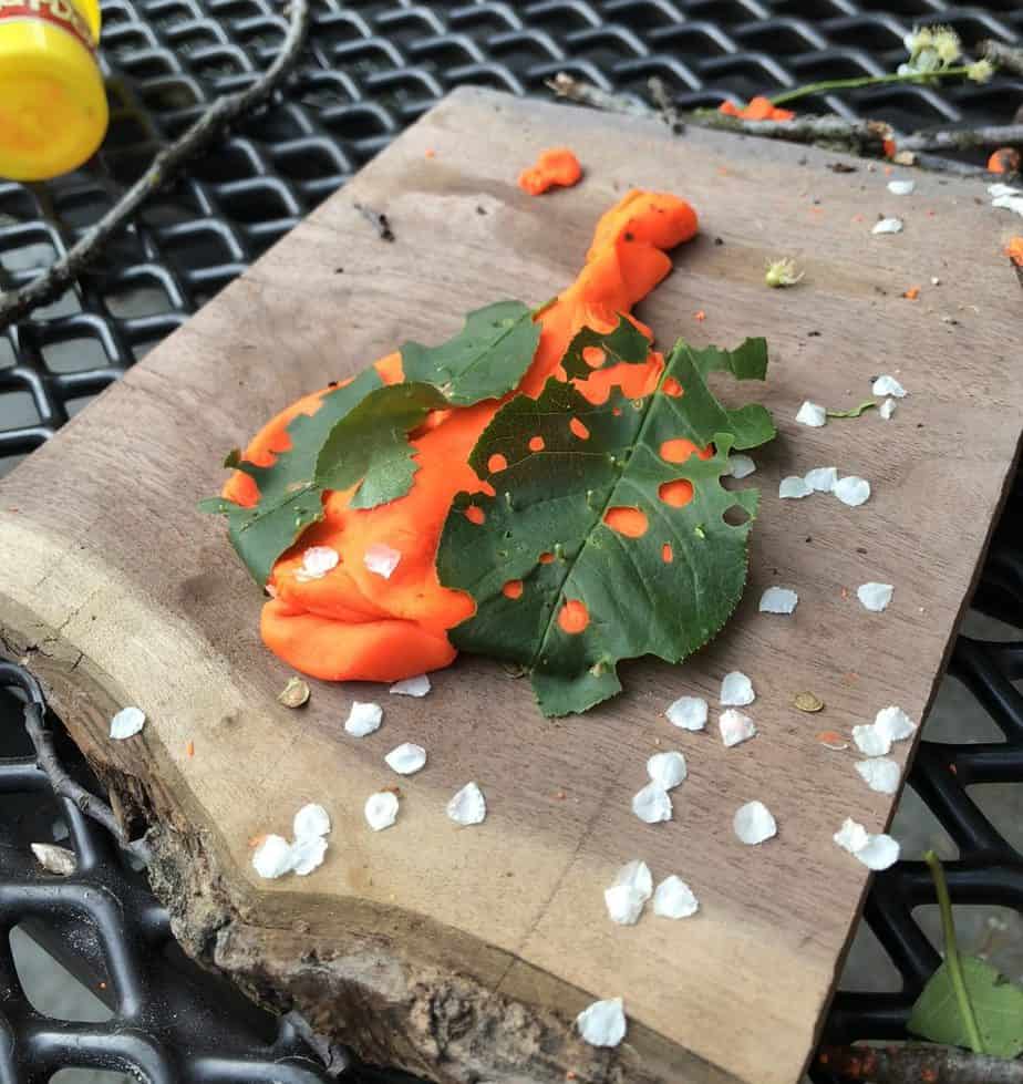 stingray craft with play doh using leaves