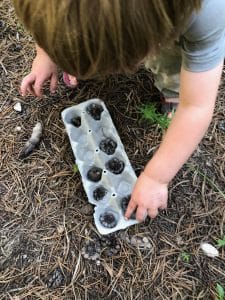 diy firestarter with egg carton and pinecone