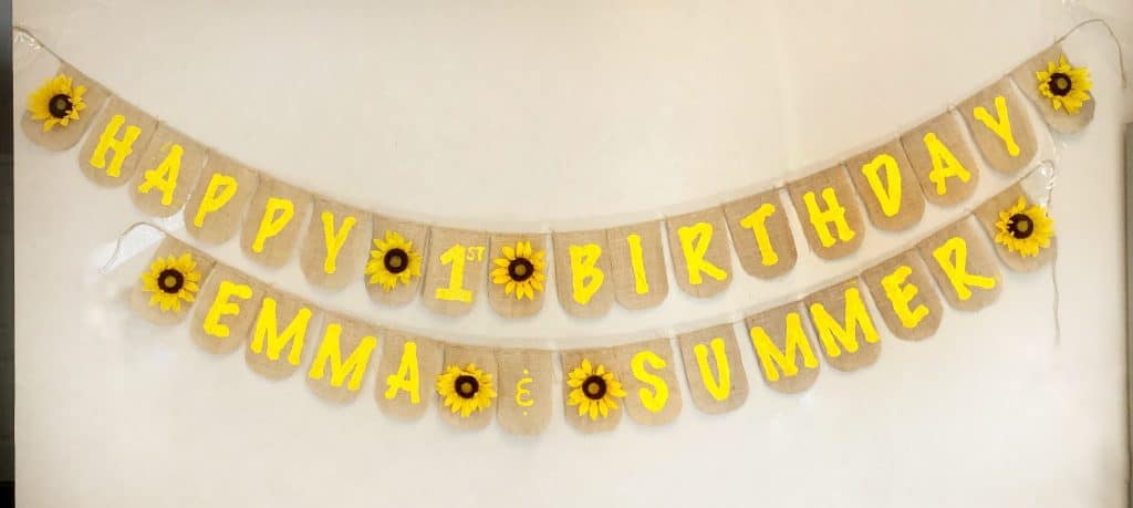 diy birthday banner idea for twins