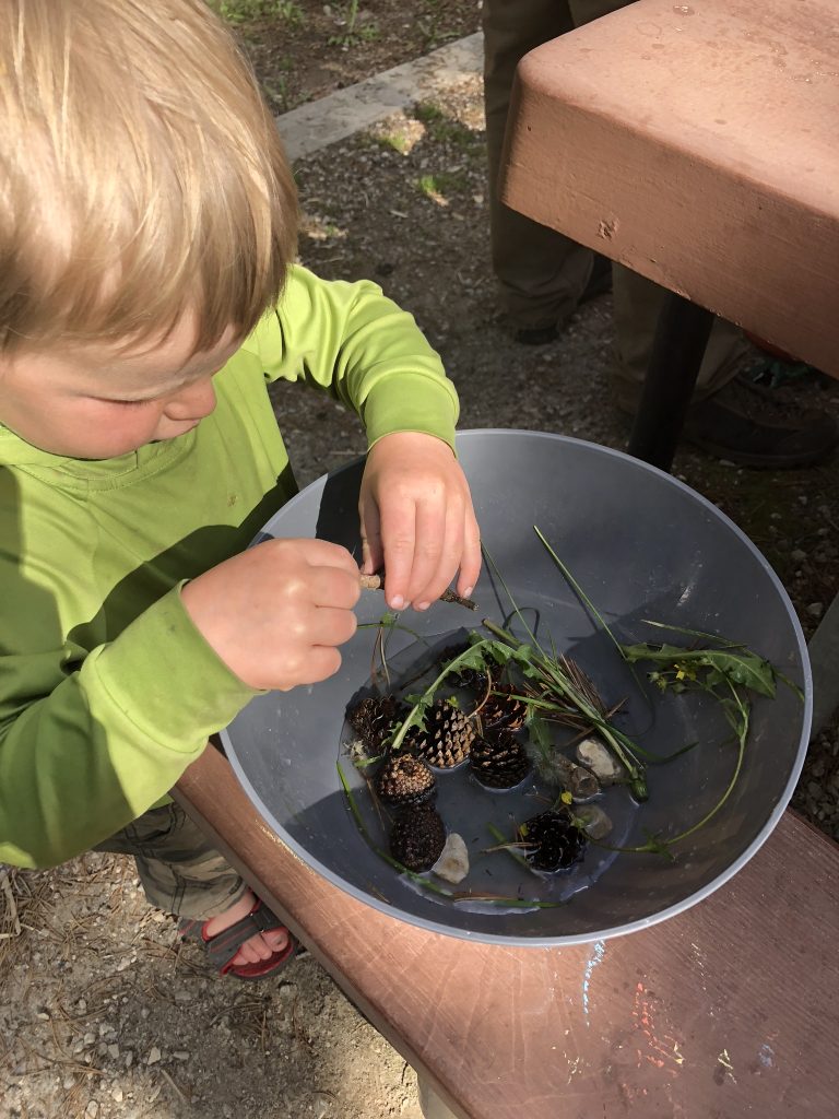 fun thing to do with toddlers while camping