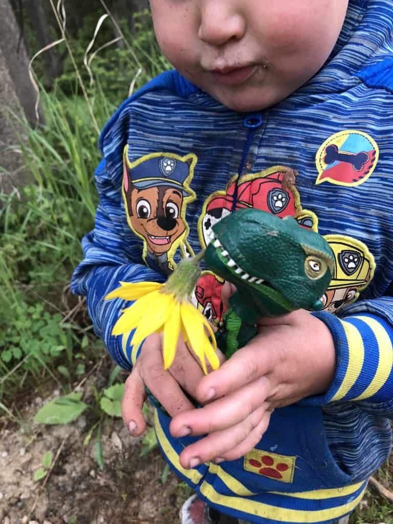 fun nature activity while camping with kids