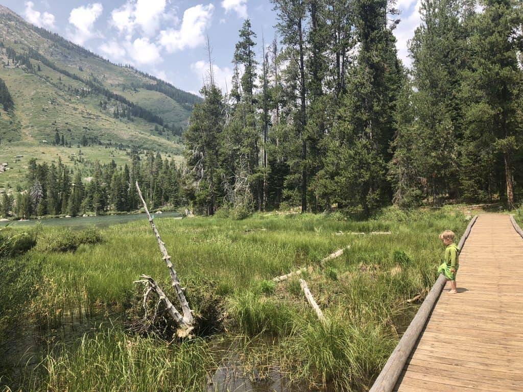 string lake trail views