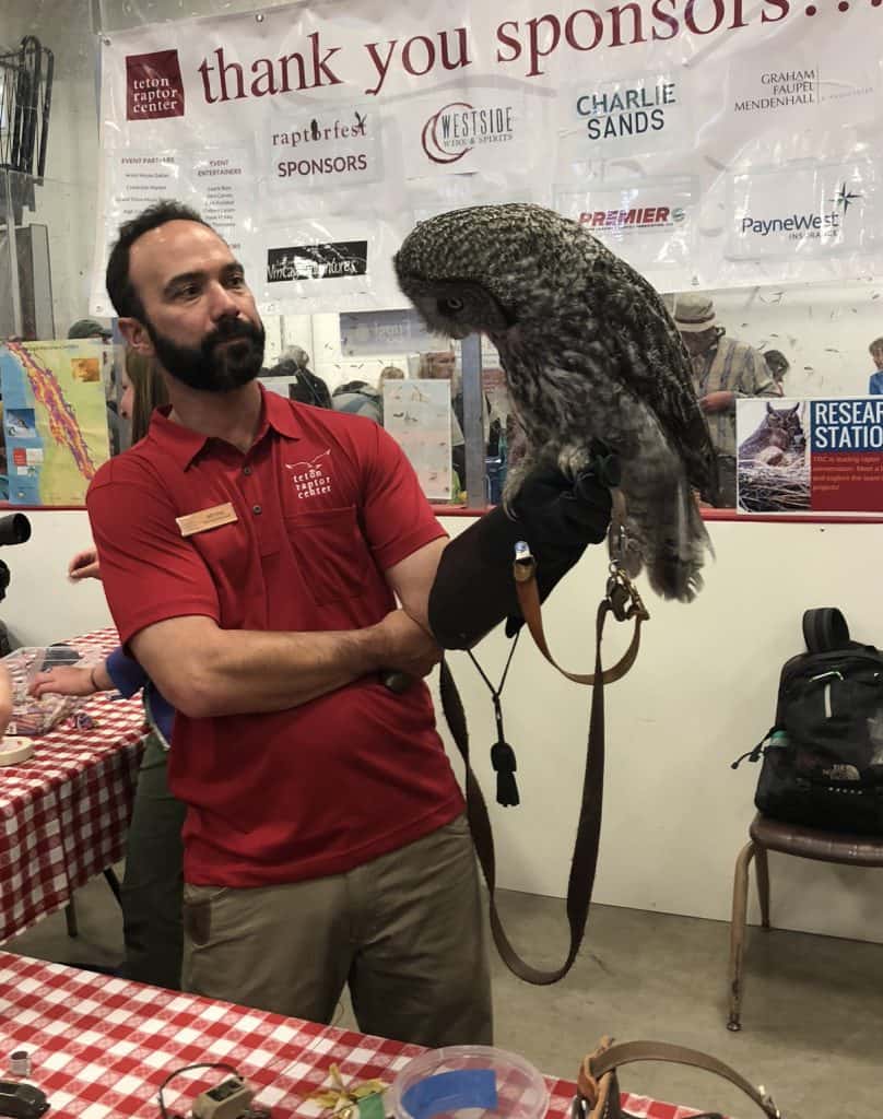 raptor fest owl from raptor center jackson wy