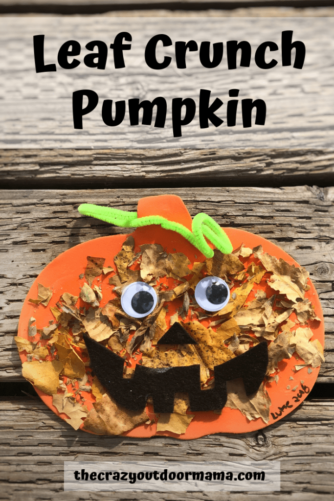 easy autumn kids craft with leaves