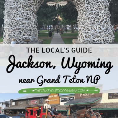 jackson wyoming information for families