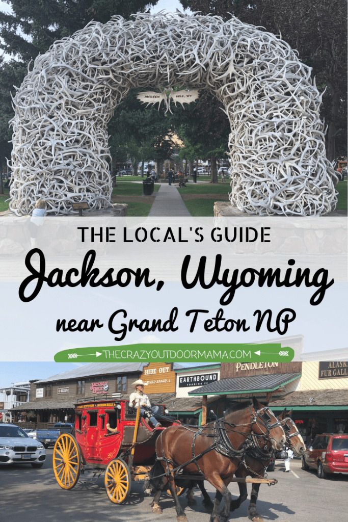 jackson wyoming information for families