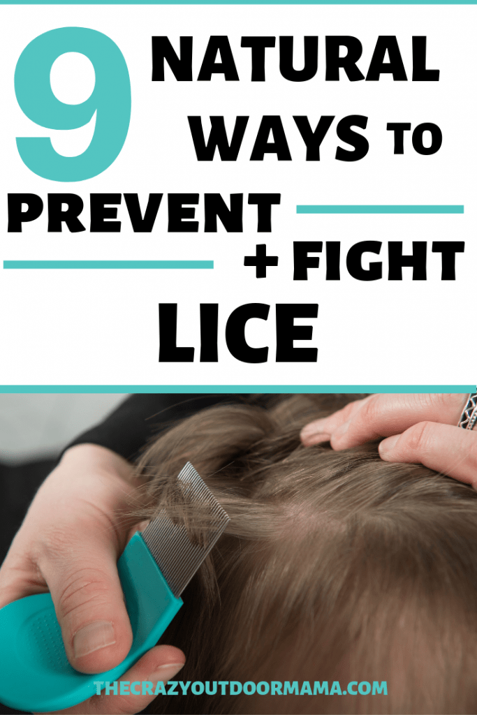 HOW TO GET RID OF LICE The Crazy Outdoor Mama