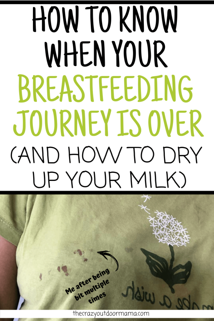 Weaning 101: How to Stop Breastfeeding Quickly Without Pain