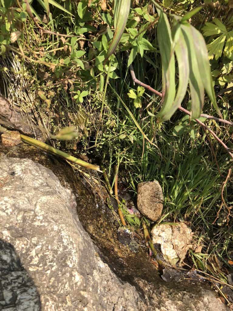 natural spring ampitheare surprise lake trail