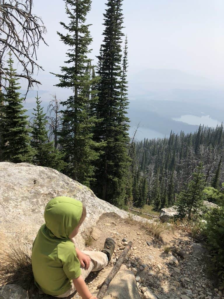 bradley and taggart lake views