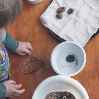 A fun and easy sensory bin using natural items thats fun for kids of all ages, especially preschoolers and older toddlers! This uses rocks, sand, as well as fine motor skills to retrieve and clean the rocks!