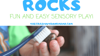Rock Rescue Nature Sensory Bin