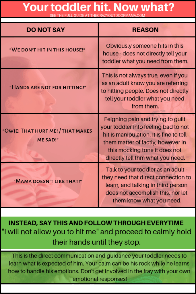 guide to dealing with toddler hitting mom parents or siblings