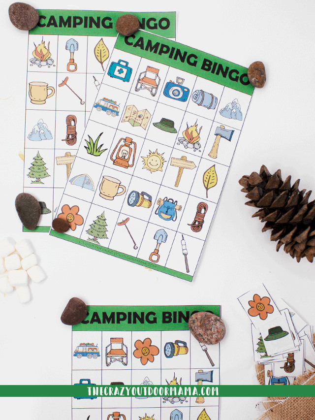 A Fun Camping Party or Outdoor Activity for the Whole Family! Story