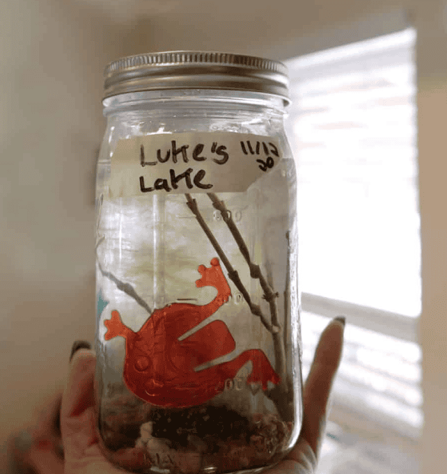 craft for camping near lake