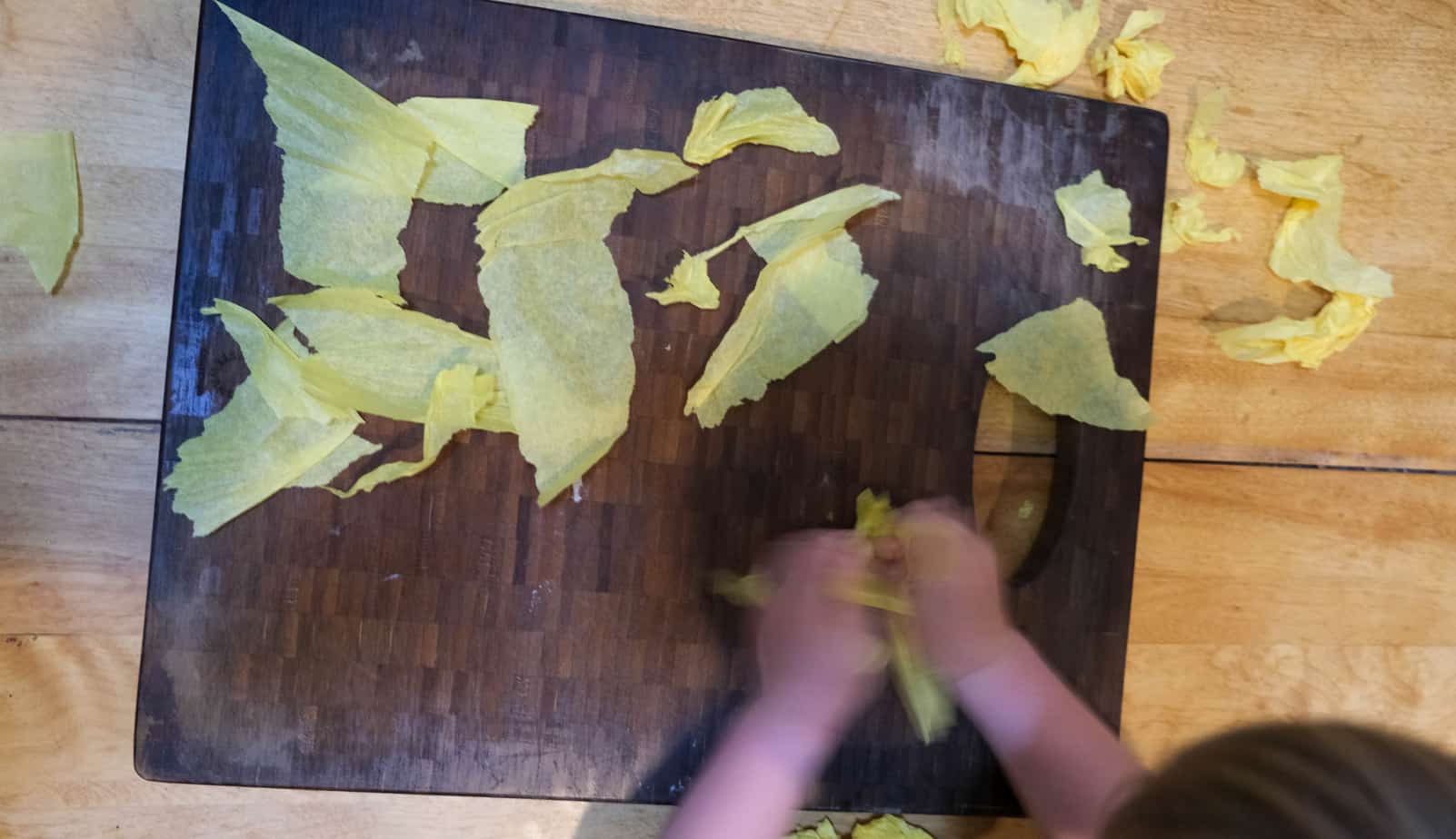  papier de soie artisanal pour enfants d'âge préscolaire de camping lanterne modge podge 