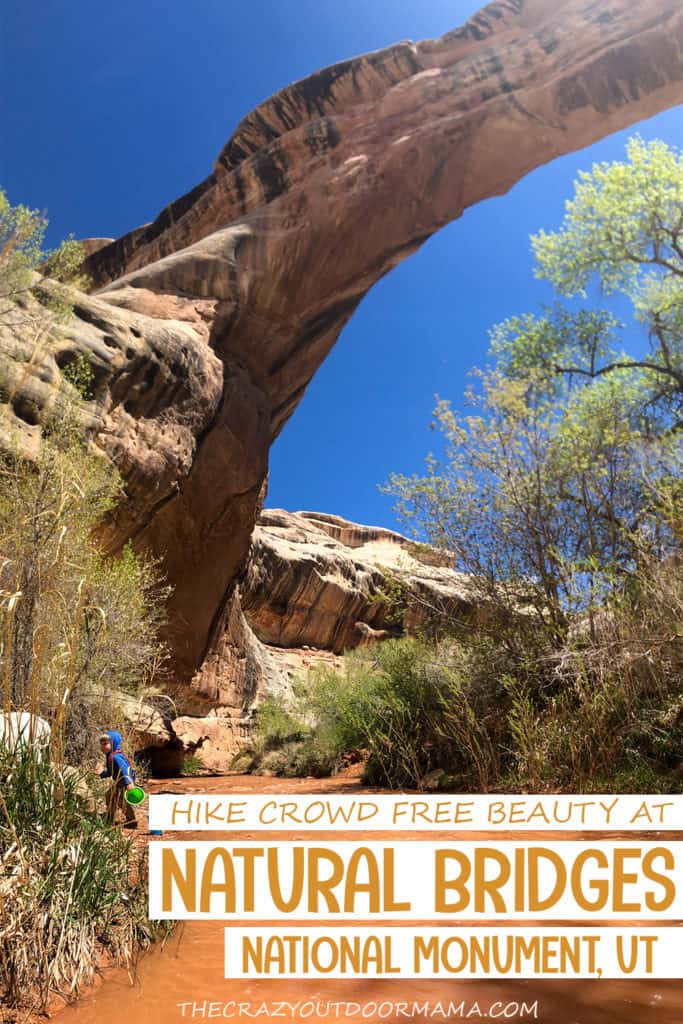 natural bridges national monument hiking guide for families