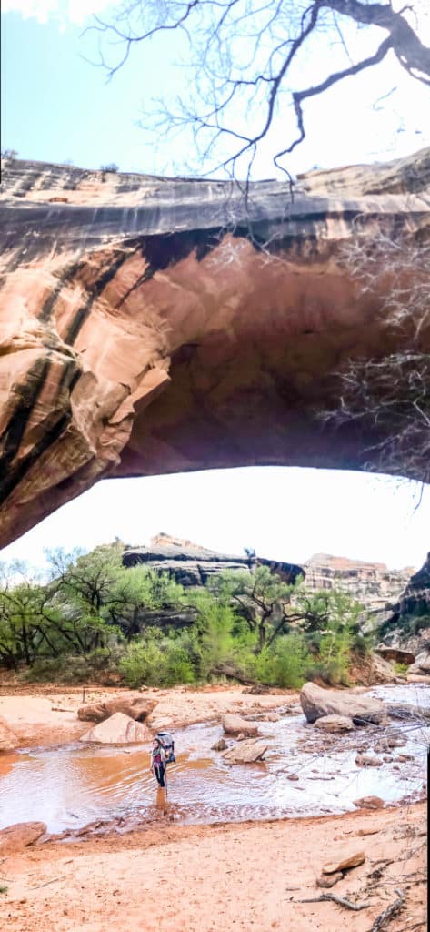 Kachina land bridge in natural bridges national monument utah