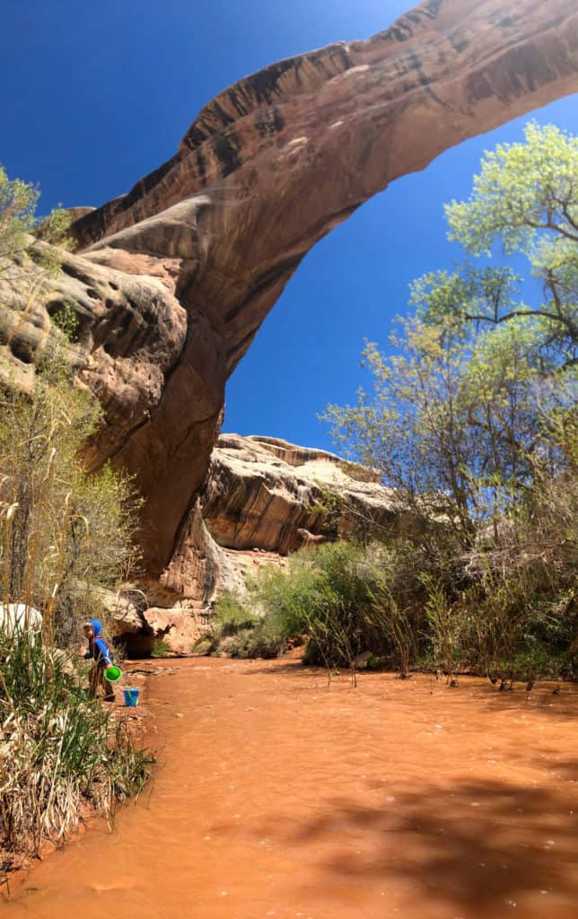 sipapu natural land bridge in natural bridges national monument