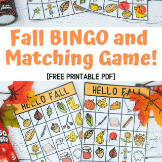 fall game activity for kids printable pdf