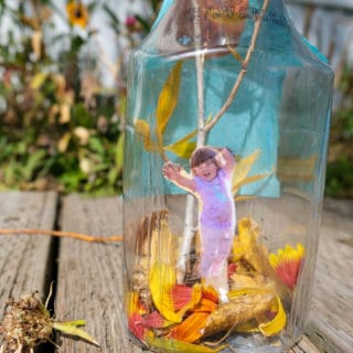 fall in a bottle leaf outdoor activity with picture