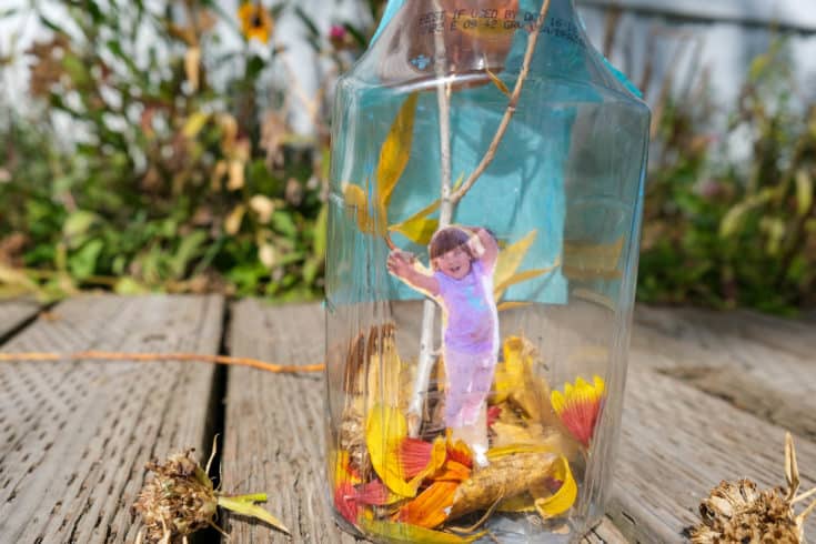 fall in a bottle leaf outdoor activity with picture