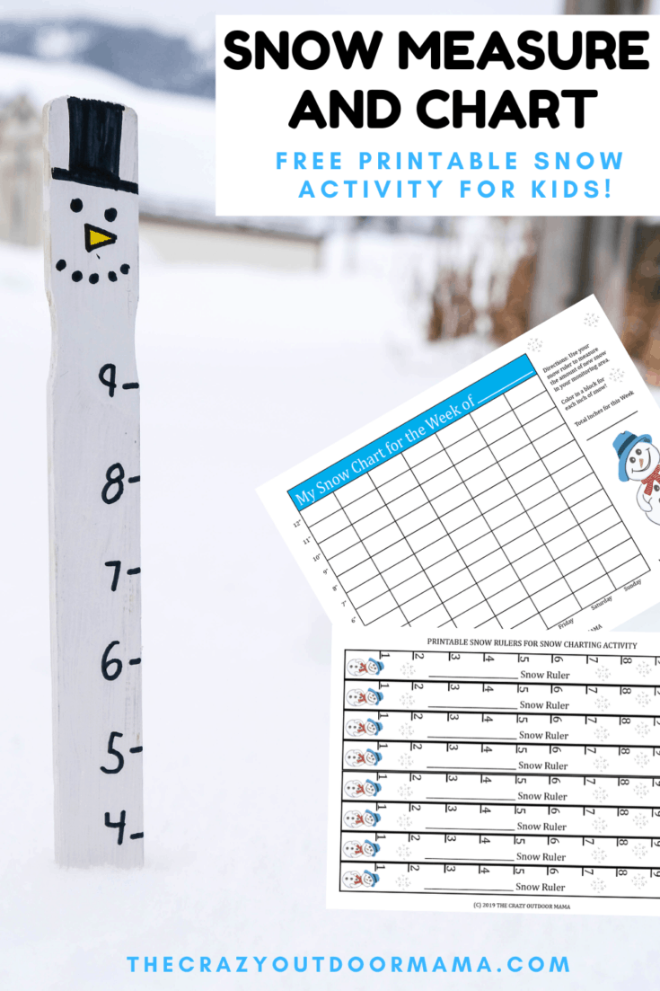 Snow Measuring Craft + Activity for Kids [Free Printable Snow Tracking Chart] The Crazy