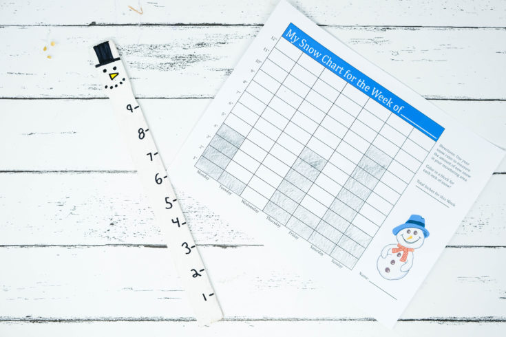 diy kids winter activity snowstick and snow chart