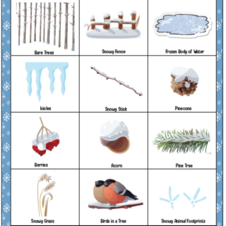 winter nature hike kids printable scavenger hunt