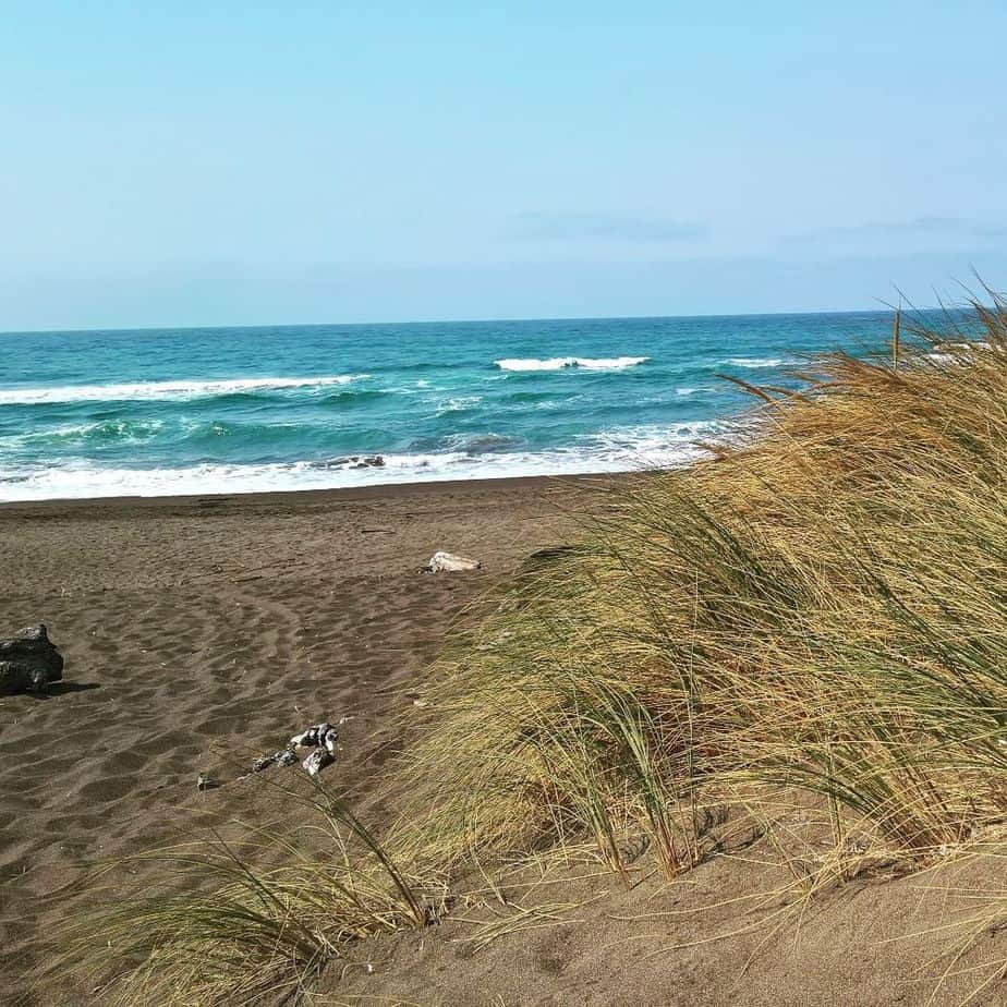 manchester beach koa in california good rv camping