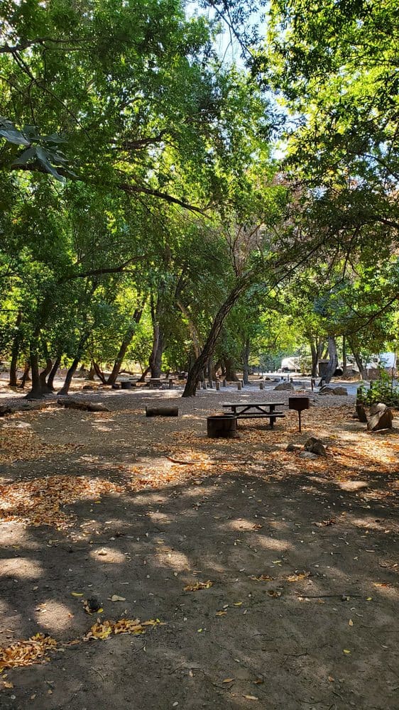 pfeiffer state park campground view