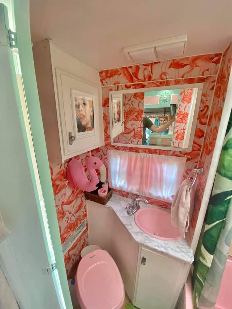 flamingo camper bathroom for 50s renovation idea