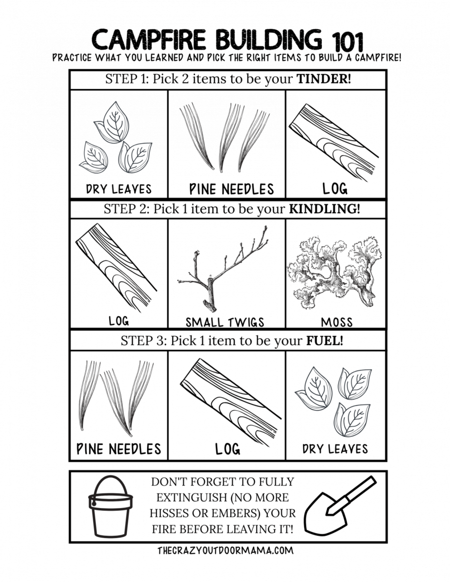 DIY Summer Camp 101 at Home (with printable lesson plans!) – The Crazy ...