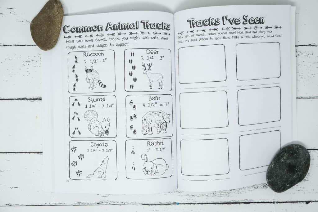 animal track sketch chart for kids in camp journal