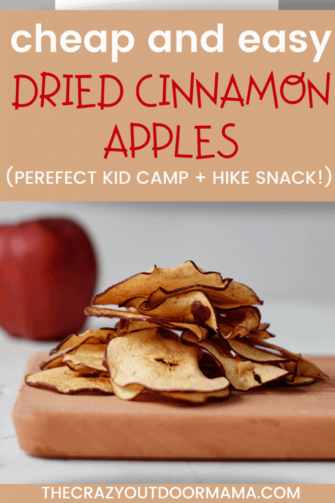 easy dried cinnamon apples for hiking or camping with kids