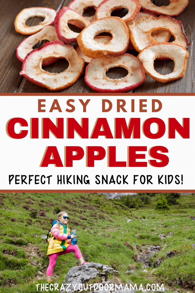 easy dried cinnamon apples for hiking or camping with kids