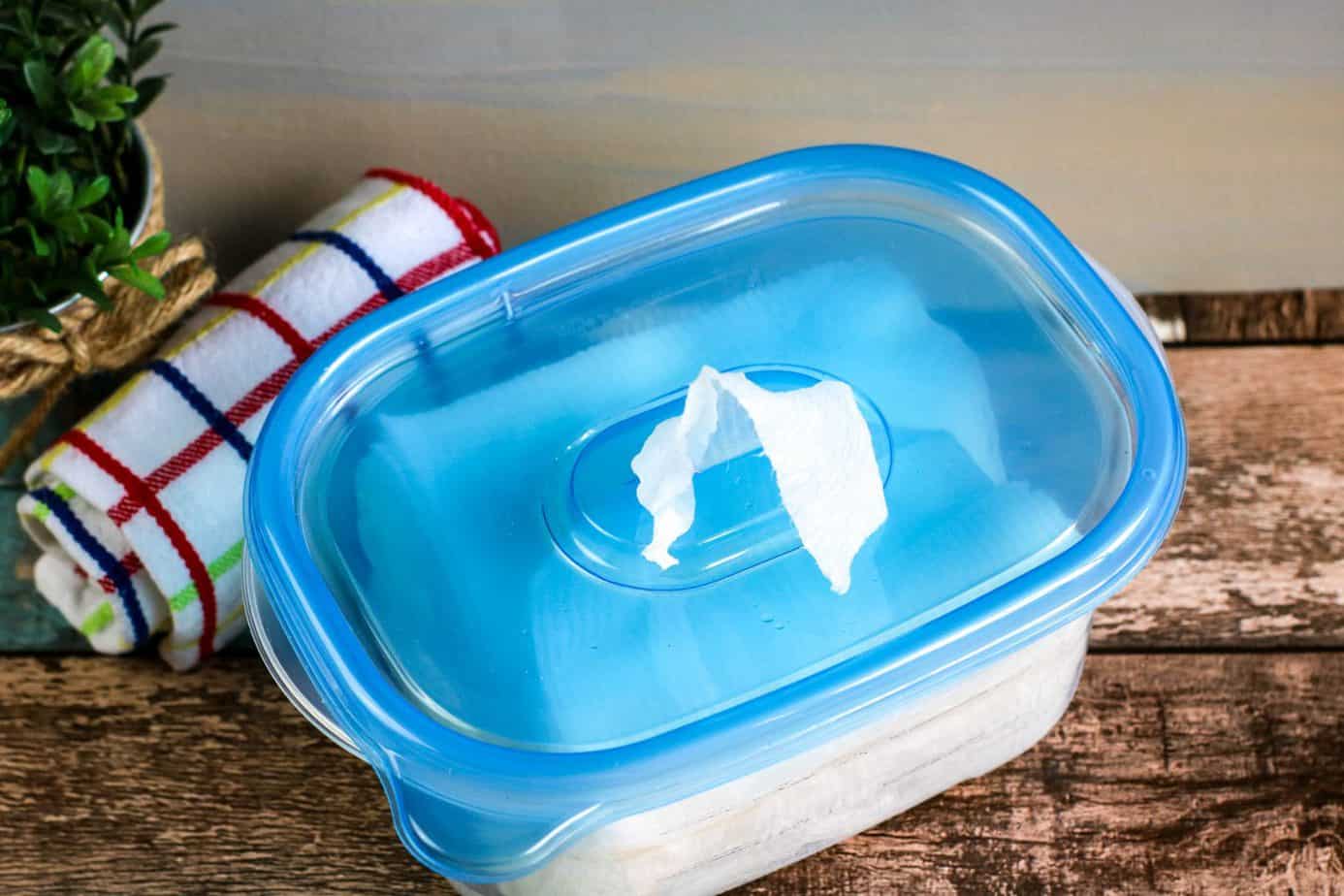 DIY Camp Cleaning Wipes (for counters + more) The Crazy Outdoor Mama