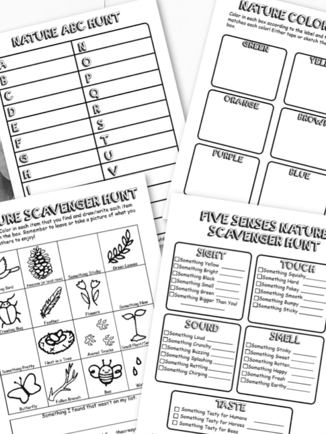 4 FREE Nature Scavenger Hunts [Color, Senses, ABC, Traditional] Story