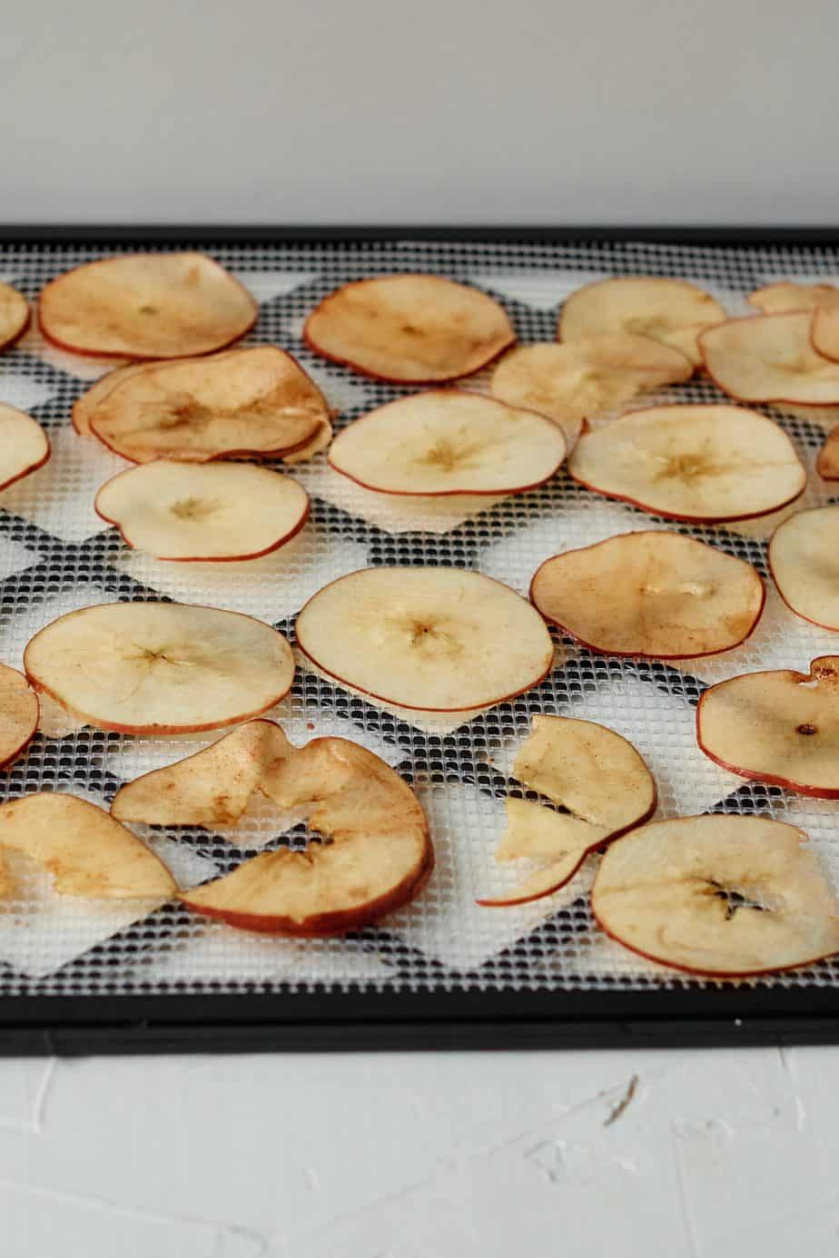 apples on dehydrator tray