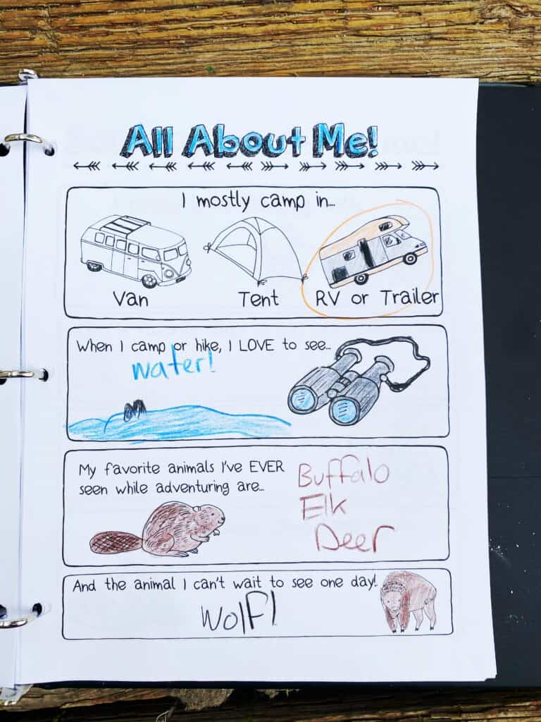 all about me camp quiz for kids printable pdf