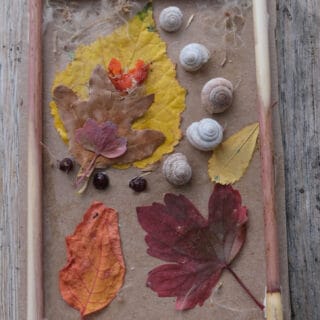 nature craft thats cheap and easy for toddlers or big kids